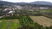 Stilos Kreta, Stilos: Charmantes ländliches Grundstück mit Bergblick zu verkaufen Grundstück kaufen